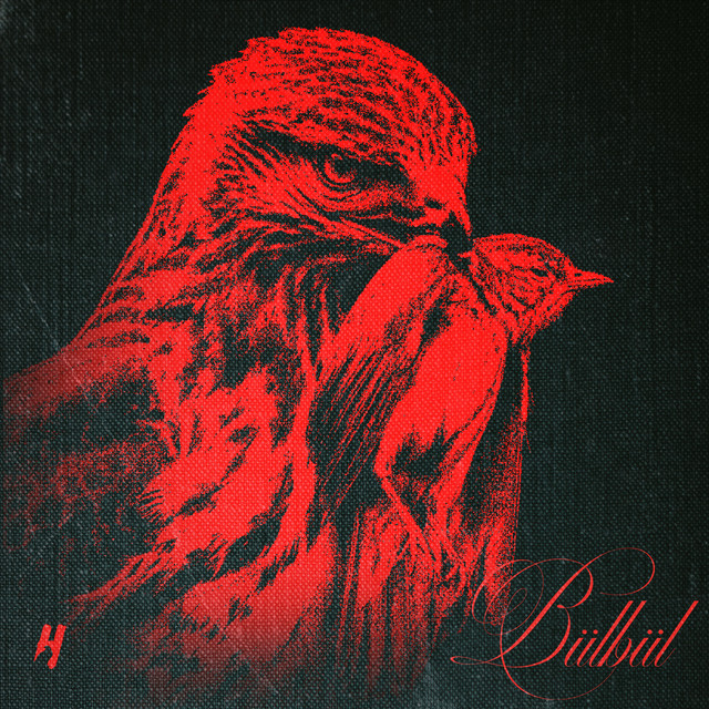 BÜLBÜL — cover art