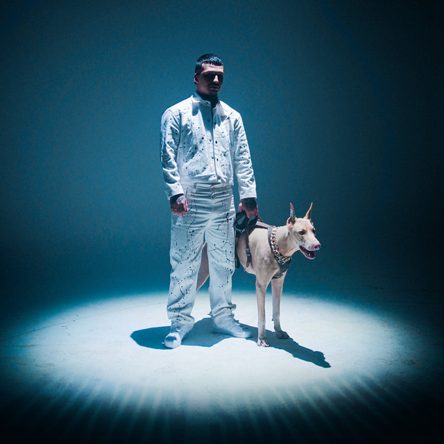 Günün Sonunda — cover art